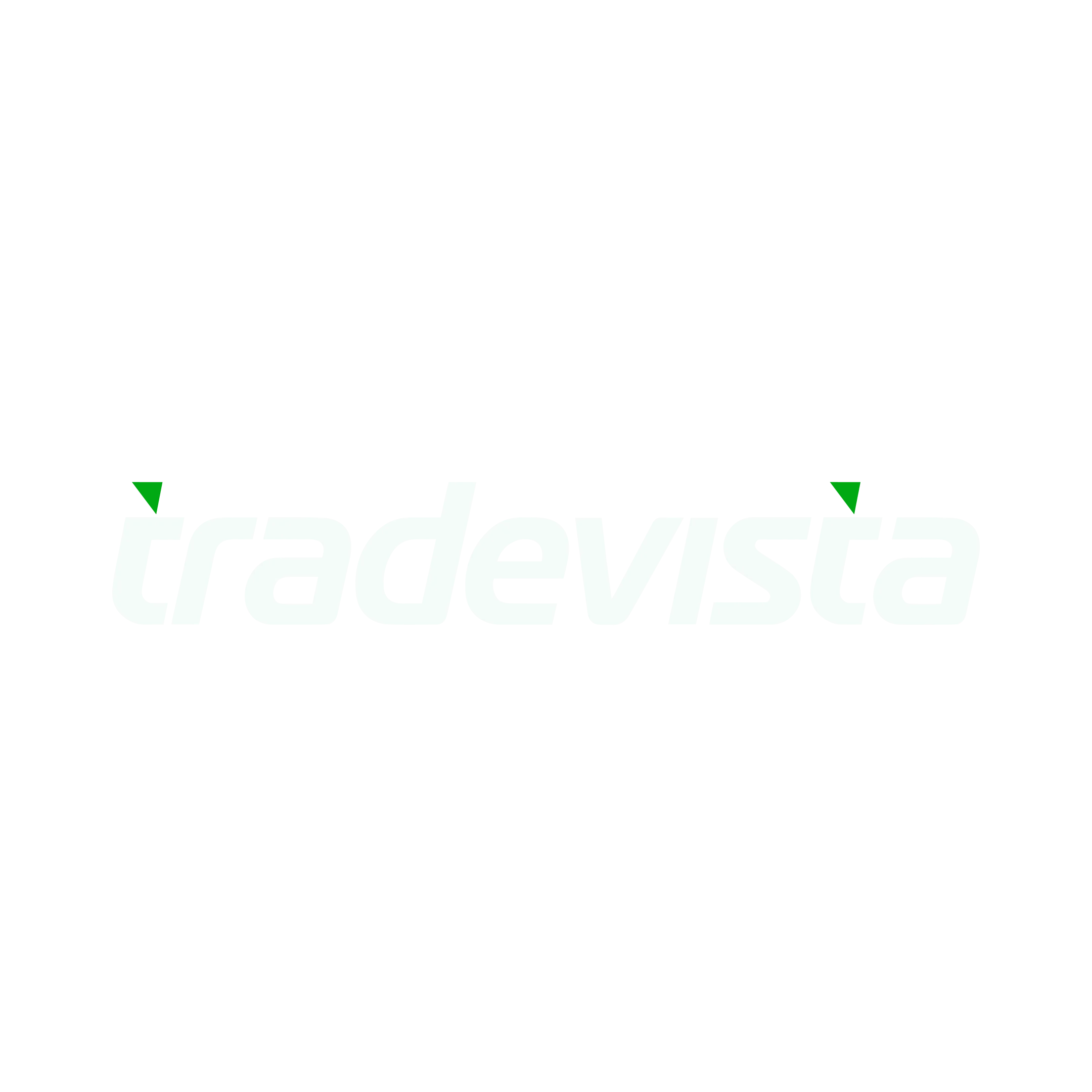 Tradevista logo